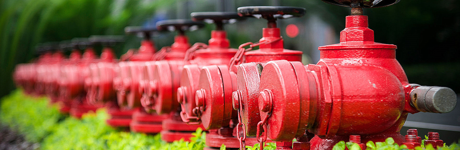 ফায়ার ভালভ