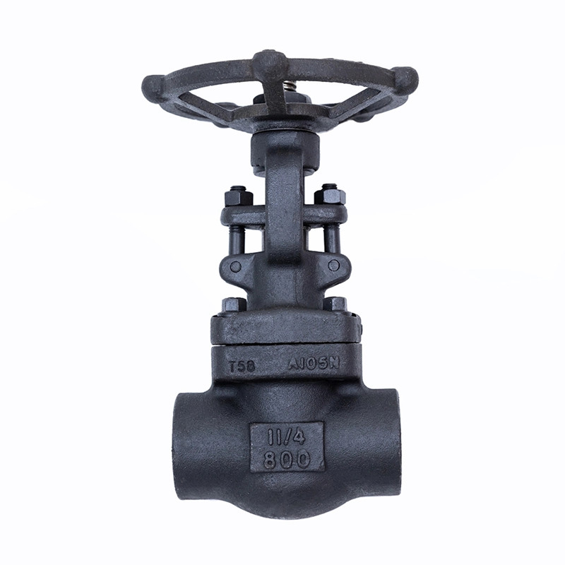 নকল গেট ভালভ 800LBS