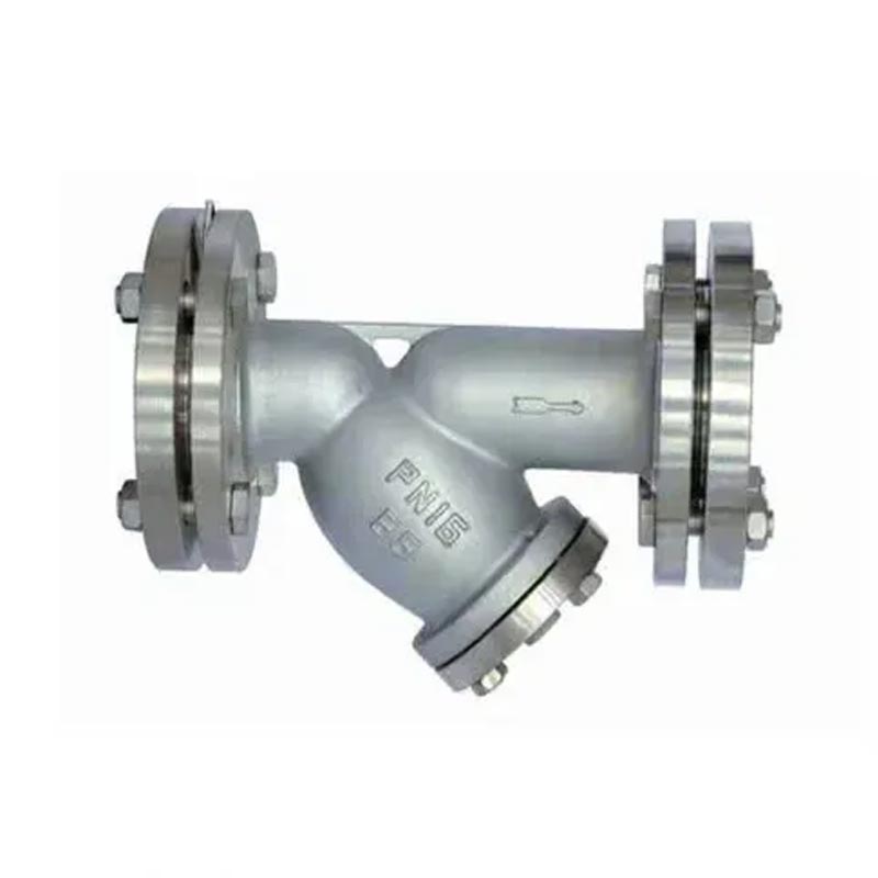 Basket Type Strainer